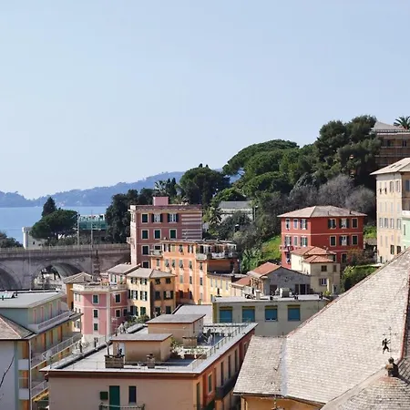 Alloro * Rapallo